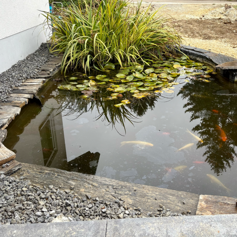 Teichbau in Ulm - moderner Gartenteich mit Naturstein und Wasserpflanzen